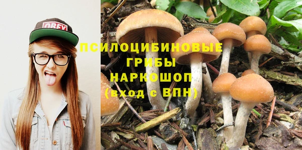дживик Гусь-Хрустальный