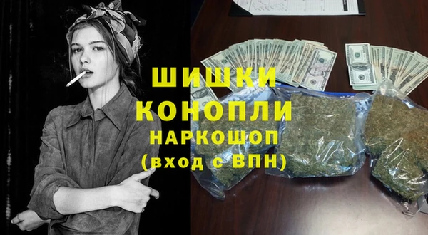 индика Гусиноозёрск
