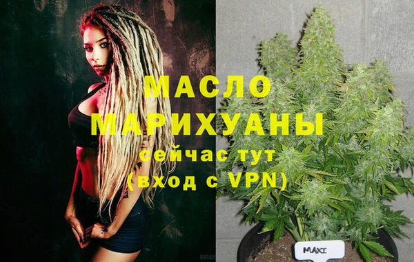 spice Гусев
