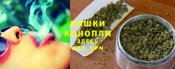 ECSTASY Белокуриха