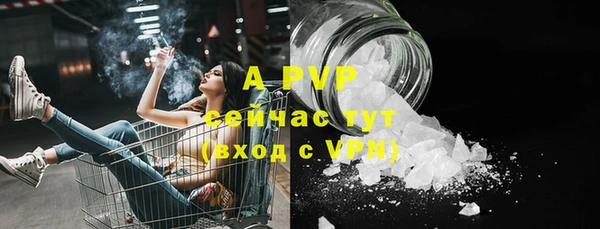 ECSTASY Белокуриха