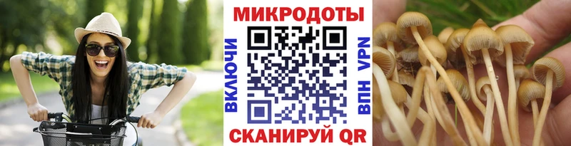 что такое Малая Вишера Галлюциногенные грибы прущие грибы