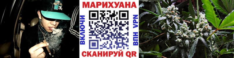 Бошки марихуана конопля  магазин  наркотиков  Малая Вишера 